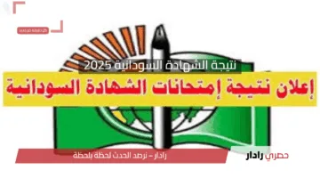 «الموقع الرسمي» نتيجة الشهادة السودانية 2025 خطوات الاستعلام الإلكتروني وأسماء الأوائل