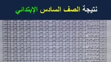 اعرفها الآن من البيت.. نتيجة الصف السادس الابتدائي 2025 بالاسم ورقم الجلوس her موقع وزارة التربية