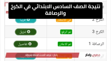 هسه ظهرت.. حمل pdf نتائج السادس الابتدائي 2025 بالعراق – الكرخ والرصافة عبر موقع نتائجنا