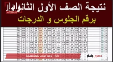 فور صدورها.. خطوات الإستعلام عن نتائج الصف الأول الثانوي في محافظة القاهرة الترم الثاني 2025