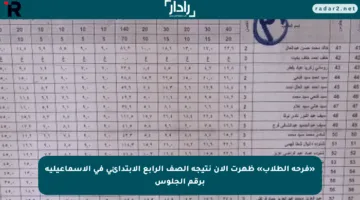 خلال ساعات.. رابط نتيجة الصف الرابع الابتدائي في محافظة الجيزة 2025 برقم الجلوس