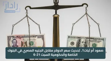 صعود أم ثبات؟.. تحديث سعر الدولار مقابل الجنيه المصري في البنوك الخاصة والحكومية السبت 21-6