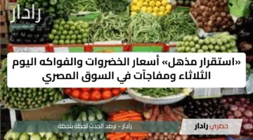 «استقرار مذهل» أسعار الخضروات والفواكه اليوم الثلاثاء ومفاجآت في السوق المصري