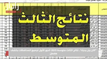 عموم المحافظات pdf.. رابط مباشر لنتائج الثالث المتوسط 2025 عبر موقع نتائجنا وملازمنا mlazemna.com
