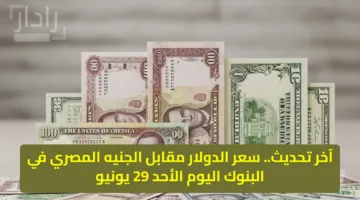آخر تحديث.. سعر الدولار مقابل الجنيه المصري في البنوك اليوم الأحد 29 يونيو