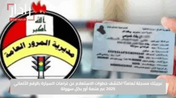 عربيتك مسجلة تماماً.. اكتشف خطوات الاستعلام عن غرامات السيارة بالرقم الألماني 2025 عبر منصة أور بكل سهولة