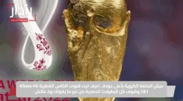 عيش المتعة الكروية بأعلى جودة.. اعرف تردد قنوات الكاس القطرية Alkass HD 1&2 وشوف كل البطولات الحصرية من غير ما يفوتك ولا ماتش
