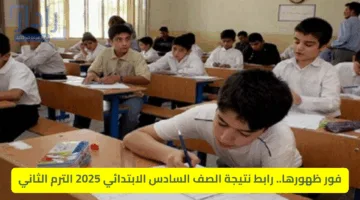 “الشهادة الابتدائية “.. نتيجة الصف السادس الابتدائي في القاهرة 2025 وموعد ظهورها رسميًا عبر موقع وزارة التعليم