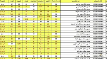 ألف مبرووك.. نتائج الثالث المتوسط 2025 ملفات pdf عموم العراق – اعرفها الآن