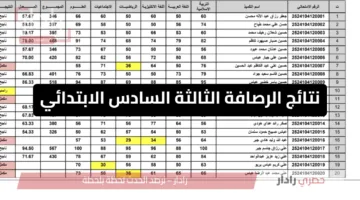ظهرت الآن.. رابط نتائج الصف السادس الابتدائي في الرصافة الثالثة بالعراق 2025 عبر موقع نتائجنا