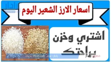 الطن وصل كام؟؟ سعر طن الأرز الشعير اليوم الخميس 10/7/2025 في الأسواق المصرية