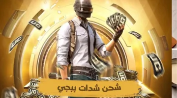 اشحن شدات ببجي UC مجاناً الآن بخطوات مضمونة وآمنة