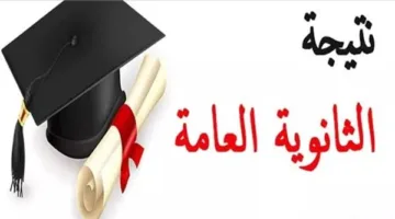 اضغط هنا للحصول على نتيجة الثانوية العامة 2025 بالاسم ورقم الجلوس وترتيب الطلاب على مستوى الجمهورية