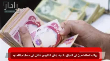 رواتب المتقاعدين في العراق.. اعرف إمتى الفلوس هتنزل في حسابك بالتحديد