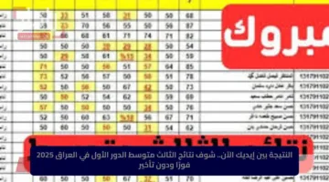 رابط رسمي.. نتائج الثالث متوسط في العراق بالاسم والرقم الامتحاني 2025