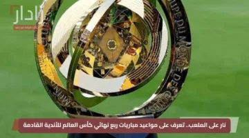 نار على الملعب.. تعرف على مواعيد مباريات ربع نهائي كأس العالم للأندية القادمة