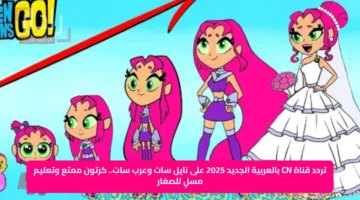 تردد قناة CN بالعربية الجديد 2025 على نايل سات وعرب سات.. كرتون ممتع وتعليم مسلٍ للصغار