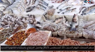 ارتفاع مستمر في أسعار السمك اليوم السبت.. استثناء الكابوريا فقط، فكم بلغ السعر الجديد؟