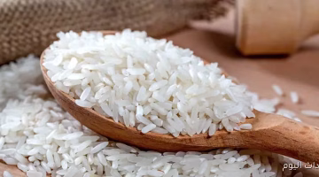 ارتفاع مفاجئ في سعر طن أرز الشعير اليوم.. تعرف على القيمة الجديدة في مصر