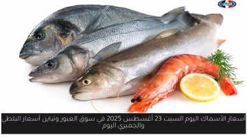 تباين جديد في أسعار الأسماك بسوق العبور اليوم.. تعرف على سعر البلطي والجمبري السبت 23 أغسطس 2025