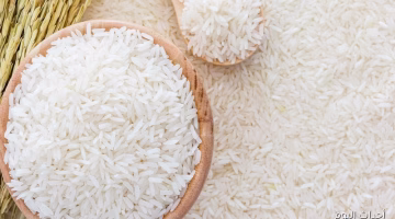 تحديث أسعار الشعير اليوم وتذبذب تكلفة طن الأرز للمستهلك المصري 22-8-2025.. كيف يؤثر التغير الجديد؟