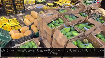 تحديث جديد في أسعار المانجو اليوم.. انخفاض في أنواع السكري وفونس والزبدية يحافظ على ارتفاعه