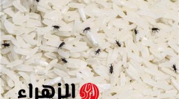 تحذير طبي عاجل: سم قاتل نصنعه بأيدينا يومياً.. كيف نحمي عيالنا؟