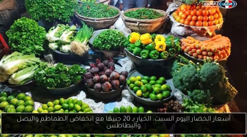 تراجع جديد في أسعار الخضار.. تعرف على سعر الخيار والطماطم والبصل والبطاطس اليوم السبت