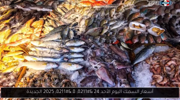تغير جديد في أسعار السمك اليوم الأحد 24-8-2025.. تعرف على السعر المحدث