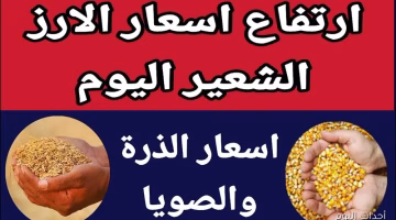 تغير جديد في سعر الأرز الشعير الأحد 24 أغسطس 2025.. تعرف على السعر المحدث للمستهلك والتاجر