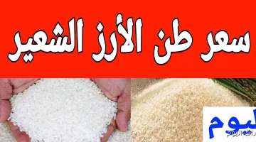 تغير جديد في سعر الأرز الشعير اليوم الاثنين.. تعرف على الأسعار المحدثة في الأسواق المصرية