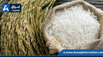 تغير جديد في سعر الأرز اليوم الأحد.. فكم بلغ طن الشعير؟
