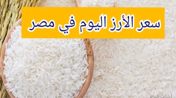تغير جديد في سعر طن الأرز الشعير بالسوق المصرية.. تعرف على السعر اليوم الأحد 24-8-2025