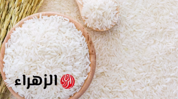 تغير جديد في سعر طن الأرز الشعير في الأسواق.. تعرف على القيمة المحدثة اليوم