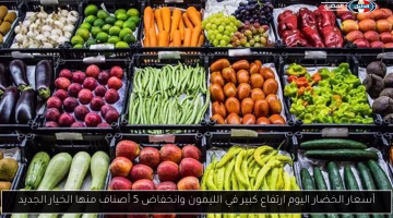 تغيرات جديدة في أسعار الخضار اليوم.. ارتفاع ملحوظ في الليمون وتراجع في 5 أصناف أخرى.. تعرف على التفاصيل