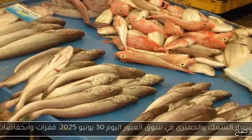 تغيرات جديدة في أسعار السمك والجمبري بسوق العبور.. تعرف على التفاصيل الآن