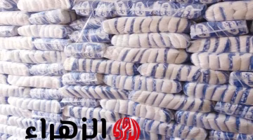 تغيير جديد في سعر كيلو السكر بعد قرار الحكومة.. تعرف على السعر المحدث الآن