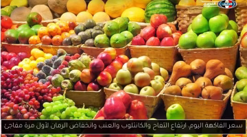 تغييرات ملحوظة في أسعار الفاكهة اليوم.. ارتفاع في التفاح والكانتلوب وانخفاض مفاجئ في الرمان، تعرف على الأسعار الجديدة