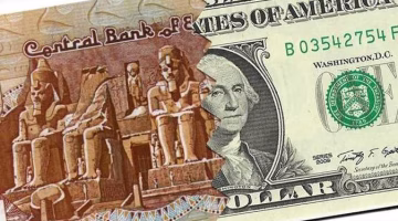 قفزة جديدة في سعر صرف الدولار.. تعرف على السعر الأعلى الآن